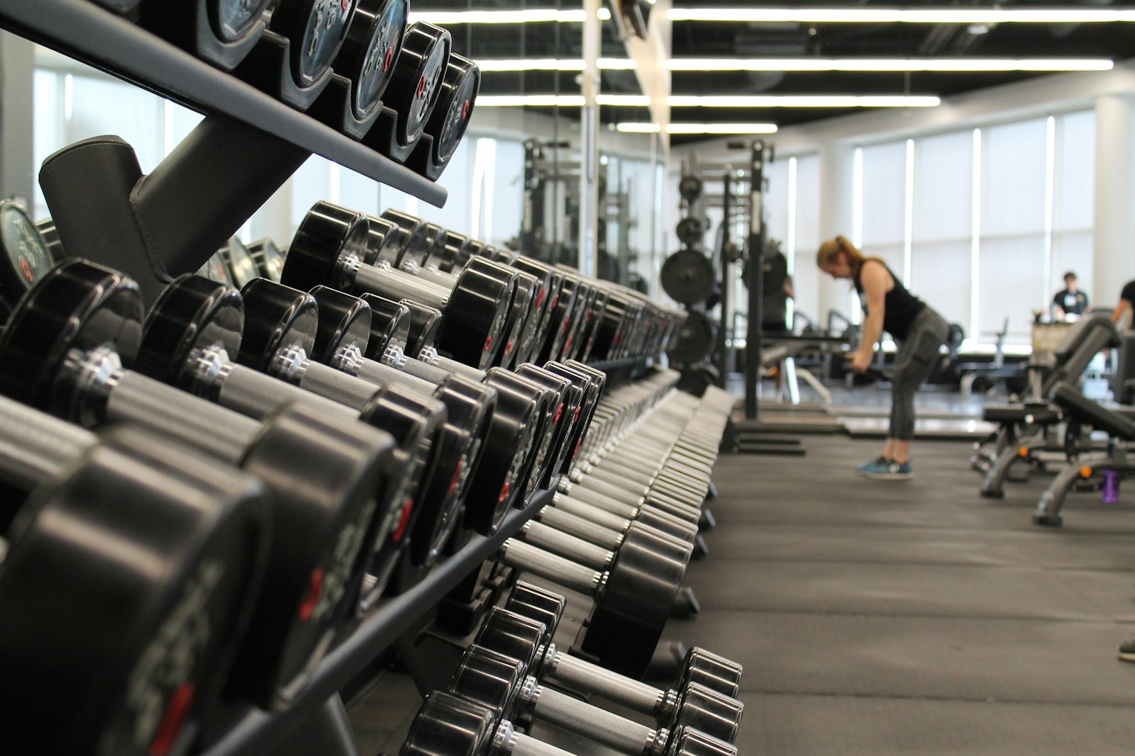 Free Weights Zone